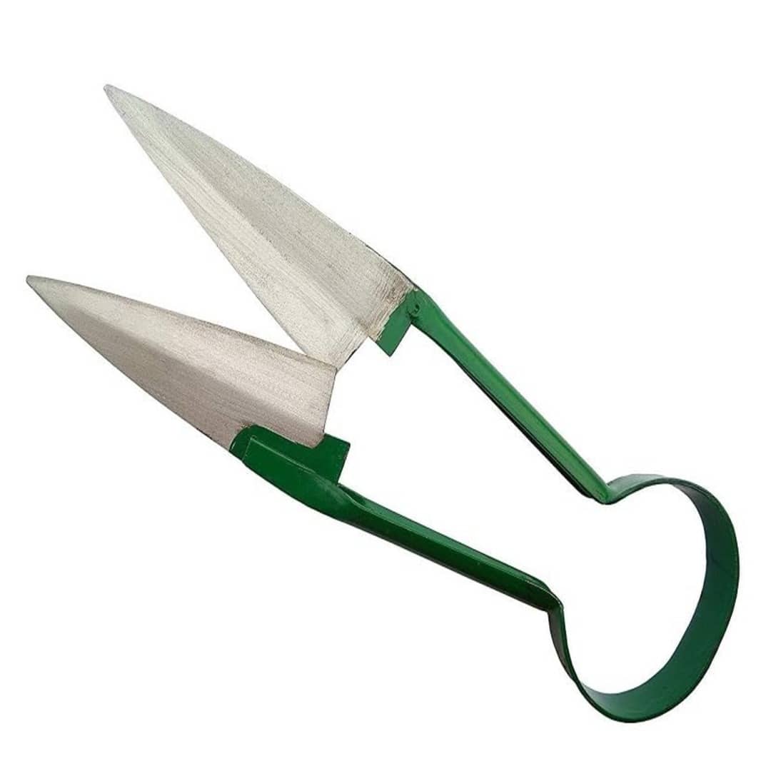 a pair of scissors with green handles